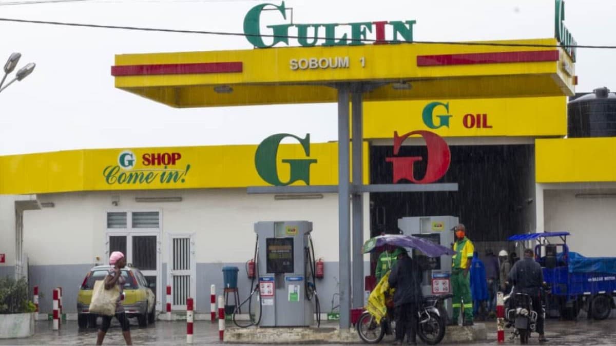 Gulfin