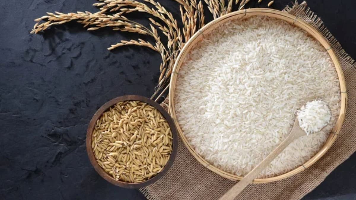 RIZ PADDY