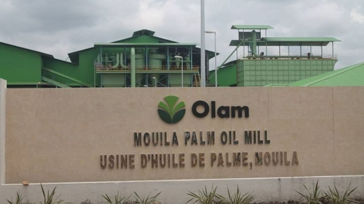 olam palm gabon