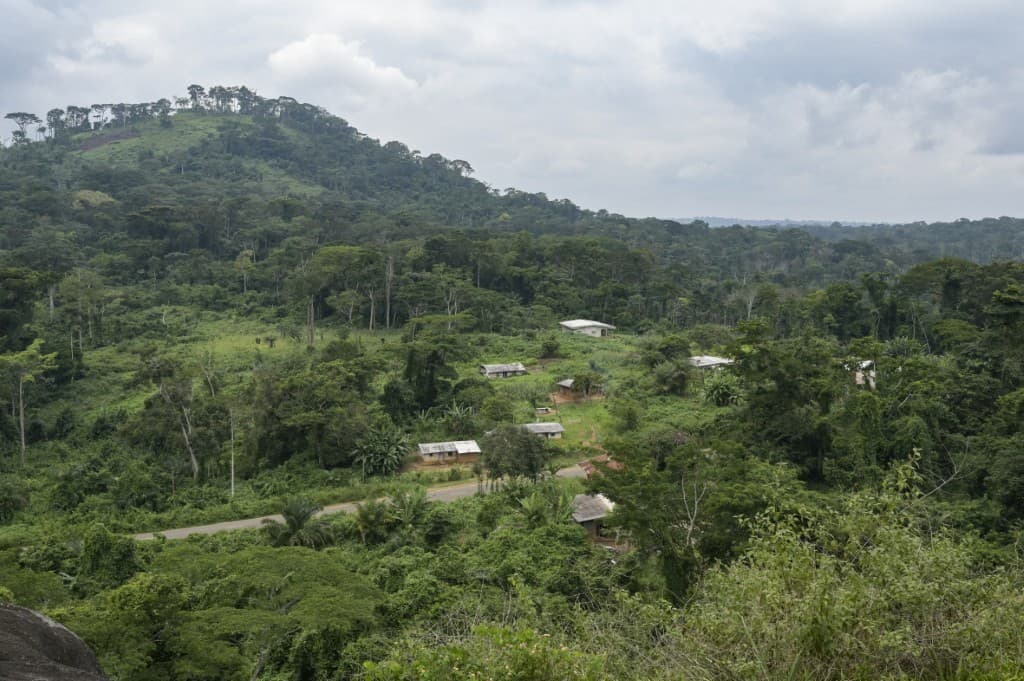 CAMEROUN - La ville de Sangmelima, au milieu de la foret tropicale
